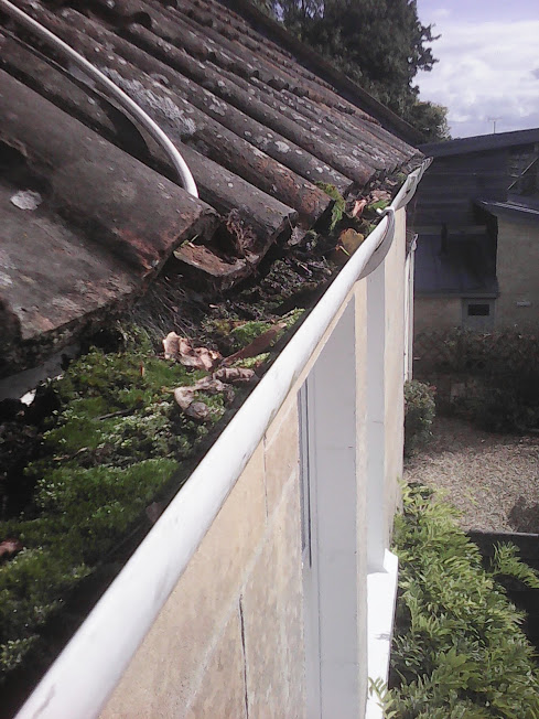 A gutter on a house is full of moss and leaves. It needs to be cleared of all debris.